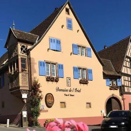 Les Vignerons Appartement Niedermorschwihr